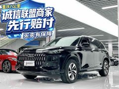 Audi Q6 40 TFSI quattro Version 7 - ფოტო 1