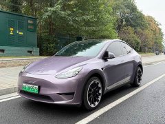 Tesla Model Y Edition - ფოტო 1