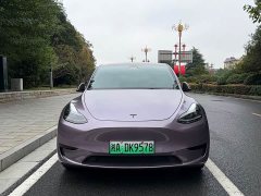 Tesla Model Y Edition - ფოტო 2