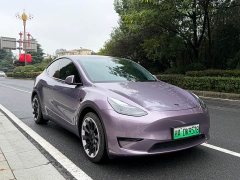Tesla Model Y Edition - ფოტო 3
