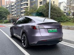 Tesla Model Y Edition - ფოტო 4