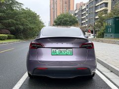 Tesla Model Y Edition - ფოტო 5