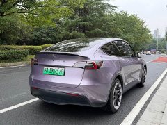 Tesla Model Y Edition - ფოტო 6