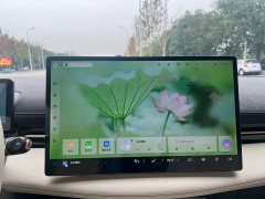 Baojun Yunhai 140km Plug-in Hybrid - ფოტო 8