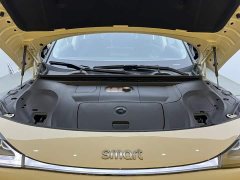 Smart #1 2026 Dynamic Luxury Edition - ფოტო 10