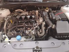 Changan Eado Blue Whale 1.5T 500Bar Luxury - ფოტო 10
