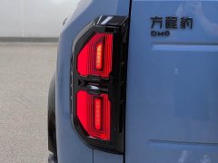 Fangchengbao Leopard 5 2023 Yunluo Flagship Edition - ფოტო 9
