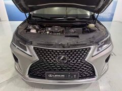 Lexus RX 2020 300 FWD Comfort China VI - ფოტო 7