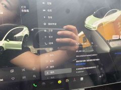 Tesla Model 3 Facelift Standard Range RWD Upgrade 3D1 - ფოტო 11