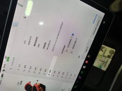Tesla Model Y Standard Range RWD - ფოტო 20