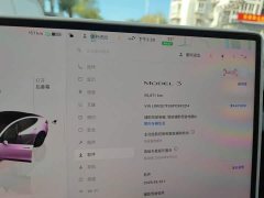 Tesla Model 3 Rear-Wheel Drive - ფოტო 13