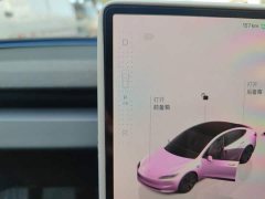Tesla Model 3 Rear-Wheel Drive - ფოტო 15