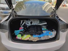 Tesla Model 3 Rear-Wheel Drive - ფოტო 20