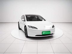 Tesla Model 3 Rear-Wheel Drive - ფოტო 3
