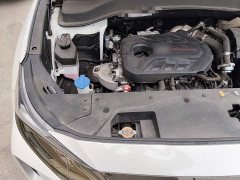 Hyundai Santa Fe Traveler 380T GDi Automatic 2WD GLX Elite - ფოტო 20