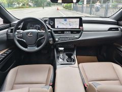 Lexus ES 2022 300h Premium Edition - ფოტო 8