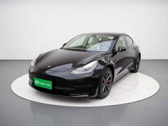 Tesla Model 3 Standard Range RWD Upgrade - ფოტო 1