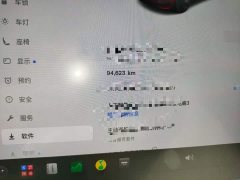 Tesla Model 3 Standard Range RWD Upgrade - ფოტო 13