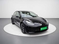Tesla Model 3 Standard Range RWD Upgrade - ფოტო 3