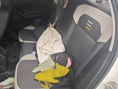Avatr Polo Plus 1.5L Automatic Colorful Tech Edition - ფოტო 13