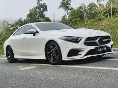 Mercedes-Benz CLS 300 Luxury - ფოტო 3