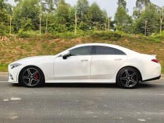 Mercedes-Benz CLS 300 Luxury - ფოტო 4