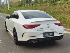 Mercedes-Benz CLS 300 Luxury - ფოტო 5