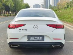 Mercedes-Benz CLS 300 Luxury - ფოტო 6