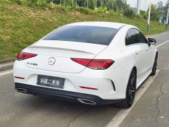 Mercedes-Benz CLS 300 Luxury - ფოტო 7