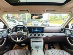 Mercedes-Benz CLS 300 Luxury - ფოტო 8