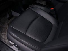 Toyota Sienna 2024 2.5L Hybrid Luxury Edition - ფოტო 16