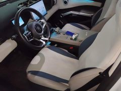BYD Yuan Plus Glory Edition 430KM Transcend - ფოტო 16
