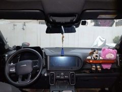 Great Wall Dachshund 2022 1.5T DCT Two-Wheel Drive Border Collie Edition - ფოტო 10