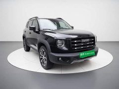Great Wall Dachshund 2022 1.5T DCT Two-Wheel Drive Border Collie Edition - ფოტო 3