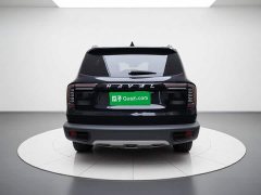 Great Wall Dachshund 2022 1.5T DCT Two-Wheel Drive Border Collie Edition - ფოტო 5