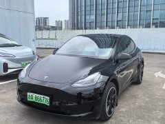Tesla Model Y Rear-Wheel Drive - ფოტო 1