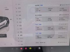 Tesla Model Y Rear-Wheel Drive - ფოტო 6