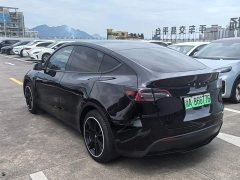 Tesla Model Y Rear-Wheel Drive - ფოტო 7