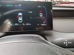 BYD Qin PLUS DM-i Smart Drive 128KM Entry-Level - ფოტო 8