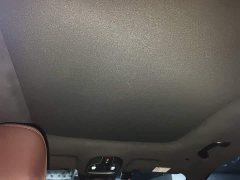 Geely Xingyue L 2021 2.0TD DCT EVO FWD Luxury - ფოტო 19