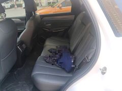 BYD Song L DM-i 130KM Exceed - ფოტო 13