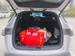 BYD Song L DM-i 130KM Exceed - ფოტო 15