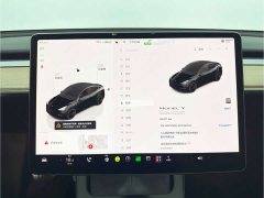 Tesla Model Y 2022 Performance All-Wheel Drive - ფოტო 10