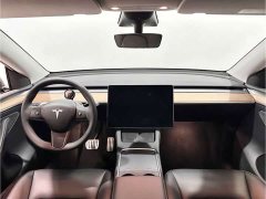 Tesla Model Y 2022 Performance All-Wheel Drive - ფოტო 8