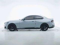 BMW 2 Series (Imported) 225i M Sport Night Edition - ფოტო 6