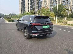 Great Wall WEY Blue Mountain 2025 Four-Wheel Drive Max - ფოტო 7
