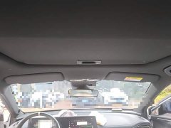 Trumpchi Shadow Leopard 2023 Shadow Leopard H Intelligent Hybrid Edition - ფოტო 19