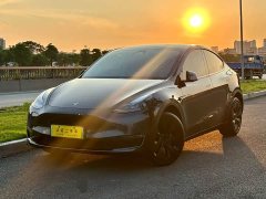 Tesla Model Y Long Range All-Wheel Drive - ფოტო 1