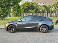 Tesla Model Y Long Range All-Wheel Drive - ფოტო 3