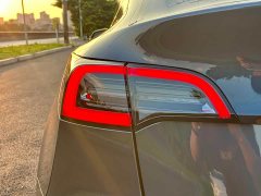 Tesla Model Y Long Range All-Wheel Drive - ფოტო 7